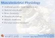 Musculoskeletal Physiology - UMD · 2015. 2. 12. · Musculoskeletal Physiology ENAE 697 - Space Human Factors and Life Support U N I V E R S I T Y O F MARYLAND Musculoskeletal Physiology