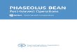 PHASEOLUS BEAN · 1999. 10. 14. · PHASEOLUS BEANS: Post-harvest Operations Page 2 1. Introduction The common dry bean or Phaseolus vulgaris L., is the most important food legume