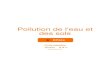 Pollution de l'eau et des sols - obs-mip.fr · PDF file 2020. 6. 17. · Figure 4 : Influence de la pollution atmosphérique sur les écosystèmes aquatiques. L’acidification des