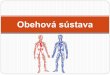 Obehová sústavafiles.gvarza-bioseptima.webnode.sk/200000052-77849787e4... · 2012. 12. 12. · Krvný tlak Najväčší je v aorte, tepnách Systolický tlak - tlak v tepnách počas