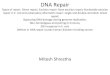 DNA Repair Types of repair: Direct repair; Excision repair: Base excision repair ... · 2018. 3. 14. · • DNA polymerase I initiates repair synthesis from the free 3’ OH at the