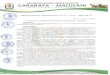 Municipalidad Provincial de Carabaya | Gobierno Local de Carabaya, Chucuito, · PDF file 2020. 7. 7. · privados (viviendas, Instituciones Públicas, Privadas, establecimientos Comerciales,