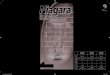 cover niagara led manual 2012altadex.com/wp-content/uploads/2015/06/Niagara.pdf · 2020. 7. 8. · Niagara 30 LED LED-strip 60 cm Niagara 60 LED LED-strip 90 cm Niagara 90 LED 230