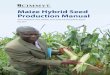 Maize Hybrid Seed Production ManualMaize Hybrid Seed Production Manual John F. MacRobert, Peter Setimela, James Gethi and Mosisa Worku Regasa May 2014