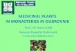 MEDICINAL PLANTS IN MONASTERIES IN DUBROVNIK CAR.pdfInventory of medicines - 1553. - Simple medicines - „simplicia“ and composed- called „composita“. - Most of the simple medicines