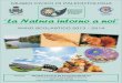 Natura Paleontologia - Empoli · 2013. 11. 19. · Introduzione alla lettura delle etichette alimentari. La stagionalità dei prodotti, I 'agricoltura biologica, la cultura dei GAS