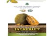 College of Horticulture, Thrissur | Towards excellence in ...cohvka.kau.in/sites/default/files/documents/3_jackfruit...in many of the dishes like puttu, idly, chapati, kumbilappam,