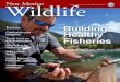 Inside: Building Healthy Fisheries · 2016. 11. 17. · the Armendaris New rules for watercraft Wild turkey fever Kayak fishing hotspots Venomous creatures Building Healthy Fisheries