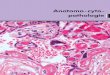 Anatomo - cyto - pathologie - Bioformation · 2020. 6. 25. · Initiation au vocabulaire de l’anatomie et cytologie pathologiques 85. CYT.AQ . Démarche qualité en anatomie. et