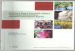Automatically generated PDF from existing images.sumbar.litbang.pertanian.go.id/images/pdf/SDG.tanaman.pdf · 2017. 11. 2. · Tanaman Biofarmaka Spesifik Lokasi Sumbar Kumis Kucing