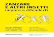 ZANZARE E ALTRI INSETTI - Modena 2 · 2019. 11. 23. · 4 ZANZARE E ALTRI INSETTI IMPARA A DIFENDERTI INTRODUZIONE Zanzara Comune - Culex pipiens La Zanzara Comune è presente nel