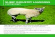 SHEEP INDUSTRY LAMENESS campaign - FAI Farms...SHEEP INDUSTRY LAMENESS campaign The five point management plan gives farmers a clear strategy to control lameness on their farm. These