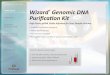 Wizard Genomic DNA Purification Kit - Promega/media/files/products and...WIZarD® genomIc Dna purIFIcatIon kIt featureS protocol Scalable Purification Purification Performance Summary