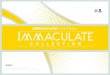 IMMACULATE FOOTBALL - Go GTSgogts.net/.../2017-Panini-Immaculate-Collection-NFL...Immaculate Players Collection Autographs and more! • Look for more full-sized memorabilia cards