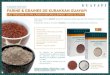 LANCEMENT JUILLET 2016 FArIne & GrAInes de ......voici quelques exemples de recettes, avec à chaque fois, un autre produit phare guayapi. Temps de préparation : 20 min Temps de cuisson