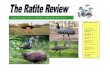 Newsletter 2012 Final - aviansag.orgaviansag.org/Newsletters/Ratite_TAG/Newsletter 2012 Final... · 2017. 1. 22. · The AZA Ratite TAG rolled out its “Adopt an Ostrich Program”