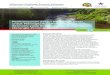 Pembangunan Sektor Perikanan Darat untuk Meningkatkan ... Sektor Perikana · PDF file pelestarian sungai (Lubuk Larangan), (3) adan-ya draft peraturan daerah (peraturan Bupati) terkait