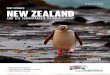 2021 VOYAGES New Zealand - Coral Expeditions...Voyages to the South Paciﬁc and New Zealand bring to mind awe-inspiring landscapes, fascinating Melanesian and Maori culture, and an