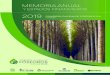 Memoria y Estados Financieros 2019 - Inicio · 2020. 3. 10. · Memoria y Estados Financieros 2019 02 Llevamos 106 años creando productos de madera de alta calidad que aportan a