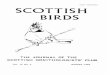 ISSN 0036-9144 SCOTTISH BIRDS · Richard & Elizabeth Coomber Tobermory (0688) 24 Orkney Islands ROUSAY Enjoy good food and comfortable accommodation at the licensed TAVERSOE HOTEL