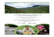 AGRADECIMIENTOS - Sustainable Travel · 2021. 1. 15. · La cuenca del Alto Mayo se extiende sobre 794,000 hectáreas. Las partes altas de la cuenca en el extremo oeste, donde nace