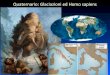 Quaternario: Glaciazionied Homo sapiens 2019. 5. 20.¢  Le Glaciazioni ebbero anche effetti sulla fauna: