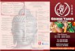 George Yang's Chinese Cuisine - to go menu...SUN DEVIL .. . $12.99 DICED CHICKEN SAUTÉED WITH JALAPENO PEPPERS, GARLIC & ONIONS . $12.99 KUNG PAO IN RUNG PAO SAUCE wrrH0LIT PEANUTS