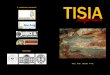 TISIA · 2016. 8. 8. · DACIA nagyszerkezeti egységek keleties mozgása alakította ki, a késő mezozoikum – korai kainozoikum során. Kulcsszavak: Tiszai egység, Tisia, földtani-geofizikai