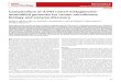 C 4,941 - as overy - Native Microbials · 2020. 9. 8. · GTDB,butthisisbasedonsimilaritytoonlytwogenomes,both ofwhichhaveuncertainphylogeneticlineages.If Candidatus …