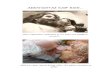 ΑΣΕΛΓΩΝΤΑΣ ΚΑΘ’ ΕΞΙΝ… · 2012. 6. 19. · σε έναν οίκο ανοχής, ανακαλύπτει ότι πεθαίνει από έρωτα για κείνην