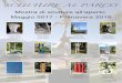 Information for travel and holidays in Ticino | ticino.ch al Parco - Orselina 2017-2018.pdfSus Grubenmann ferro, plastica - 2016 +41 (0)79 605 26 55 info@susgrubenmann.ch PRO ORS E