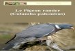 Le Pigeon ramier (Columba palumbus)Le plus grand des pigeons en France. Longueur du corps : 40 - 42 cm. Poids : 280 - 610 g. Plumage adulte identique chez les 2 sexes : tête, dos