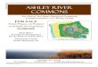 Ashley RiverAshley River Commons - LoopNet · 2016. 3. 29. · Ashley River Commons 4 Sandstone Group Steve Sanders — 704-849-2335 — ssanders@sandstonegroup.com Economic Activity