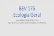 BEV 175 Ecologia Geral - Professores UFOPprofessor.ufop.br/sites/default/files/roberth... · Ecologia: tudo o que você precisa saber para começar a estudar ecologia ... conservação