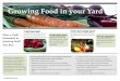 Growing Food in your Yard · 2019. 7. 2. · 1 - Growing Food in your Yard “I don’t have time” Lack of Time was rated as the top barrier in our study. Read on to learn how to