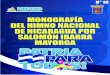 MONOGRAFÍA DEL HIMNO NACIONAL DE NICARAGUA ......de la suerte, el autor de la letra del Himno Nacional de Nicaragua que ahora se canta, desde 1939, en las escuelas del país. Todos