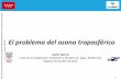 El problema del ozono troposférico - Comunidad de Madrid · 2017. 11. 17. · 1 “ SECCIÓN DE CALIDAD DEL AIRE DEL CONSEJO DE MEDIO AMBIENTE DE LA COMUNIDAD DE MADRID ”. Reunión