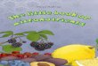 Little Book of Micronutrients · 2019. 9. 24. · Mirja Holtrop, Matthias Rath M.D. Basic Knowledge of Cellular Health for Children English | hardcover | 2004 More books by Mirja