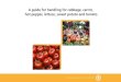 A guide for handling for cabbage, carrot, hot pepper, lettuce, … · 2021. 2. 8. · (Capsicum Sp.) Fig. 1: Harvesting lettuce with clippers. Harvesting method The entire head is