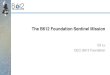 The B612 Foundation Sentinel Mission - IAA...2007/02/13  · The B612 Foundation • Silicon Valley based nonprofit 501(c)3 • Founded 2002 • Mission is to protect humanity by preventing