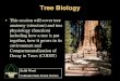 Tree Biology - Colorado State Forest ServiceTree Biology • This session will cover tree anatomy (structure) and tree physiology (function) including how a tree is put together, how