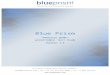 Blue Prism · Web viewAcceptance test plan Last modified by Katerina Filippi Company Blue Prism 