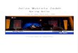 Aziza Mustafa Zadeh - Spring Suite 2017. 3. 13.¢  Aziza Mustafa Zadeh Spr ing Suite Live at 3sat Fest