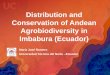 Distribution and Conservation of Andean Agrobiodiversity in ......Tropaeolum tuberosum, Oxalis tuberosa, Ipomea batatas, Arracacia xanthorrhiza, Daucus carota) Chenopodiaceae and amaranthaceae