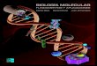 Biología Molecular: Fundamentos y aplicacionesbooks.instituto-idema.org/sites/default/files/Biología... · 2020. 4. 19. · Biología Molecular en Medicina y Terapia Génica, CUCS,