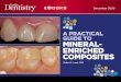 A PRACTICAL GUIDE TO MINERAL- ENRICHED COMPOSITES - … · 2021. 1. 13. · A Practical Guide to Mineral-Enriched Composites Fig. 23 Fig. 24 Fig. 25 Fig. 26 Severe caries in teeth