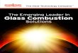 The Emerging Leader In Glass Combustion · 2020. 12. 1. · Selas CAV Combustion Controllers precisely blend fuel gas and air. Selas Burners And Controls For Primary Glass-Making