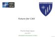 Future for CAX · 2017. 3. 16. · Future for CAX Prof Dr Erdal Cayirci June 2016 v. 25 SEP 2015 . NON SENSITIVE RELEASABLE TO PUBLIC Agenda -HLA -MSaaS ... hTEC over Armada EXCON