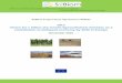 D8.2 Vision for 1 billion dry tonnes lignocellulosic biomass as a contribution … · 2017. 1. 7. · Vision for 1 billion dry tonnes lignocellulosic biomass as a contribution to