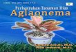 Perbanyakan Tanaman Hias Aglaonema - Pertanian · 2016. 7. 26. · 2.2. Perbanyakan Vegetatif dengan Pemisahan Anakan Langkah-langkah: DAnakan yang dapat dipisahkan minimal mempunyai